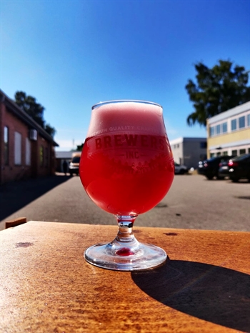 Basis Berliner (Kettle-Soured) - 20 liter 3,7-4,2%